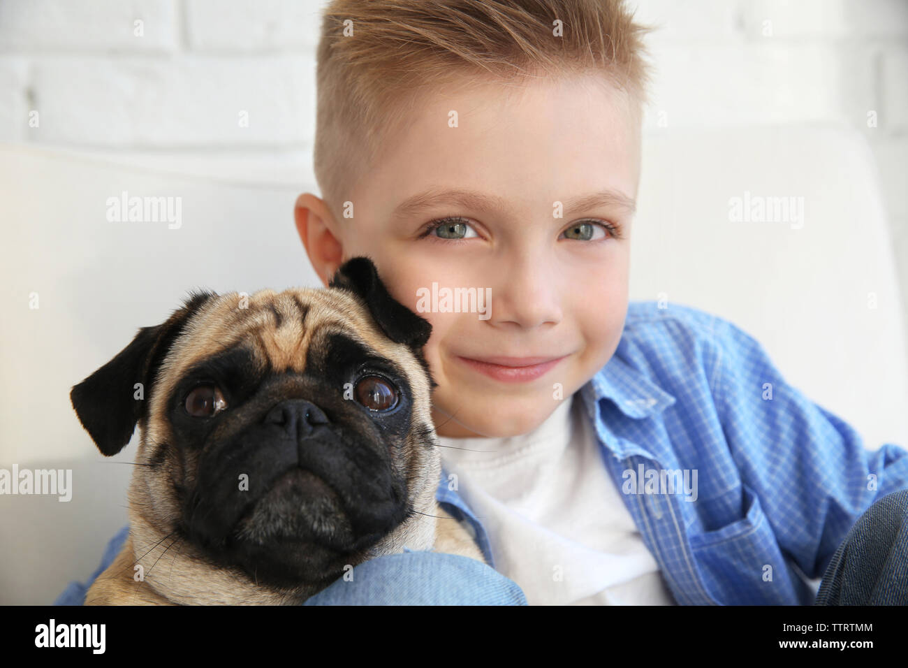 Cute boy with pug dog on couch Stock Photo Alamy