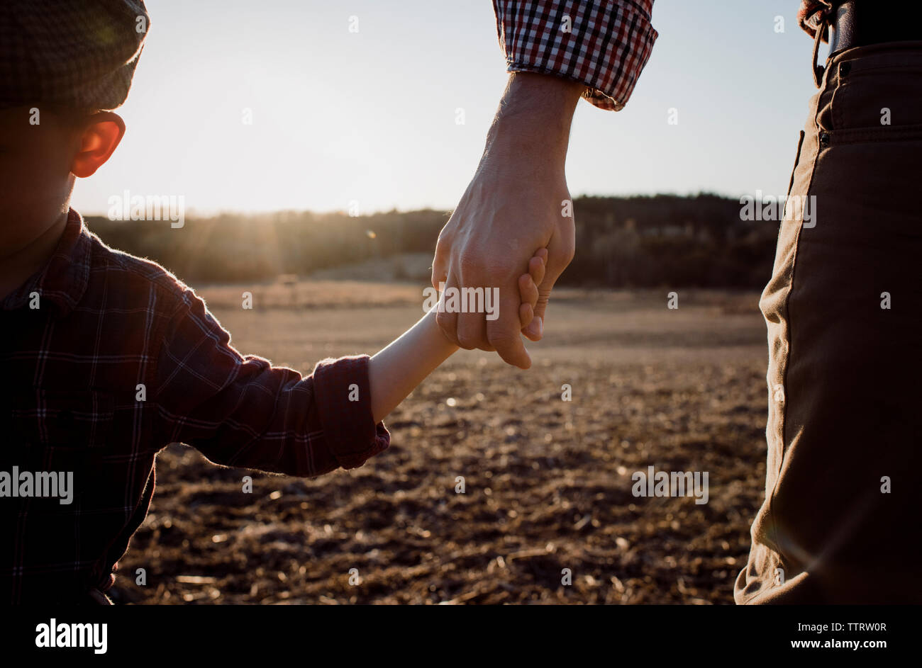 Cropped image of father and son holding hands while standing on field during sunset Stock Photo