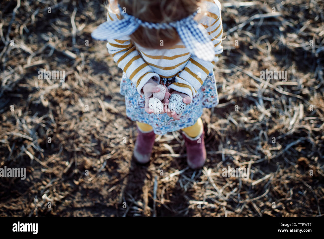 High angle view of girl holding eggs while standing on field Stock Photo