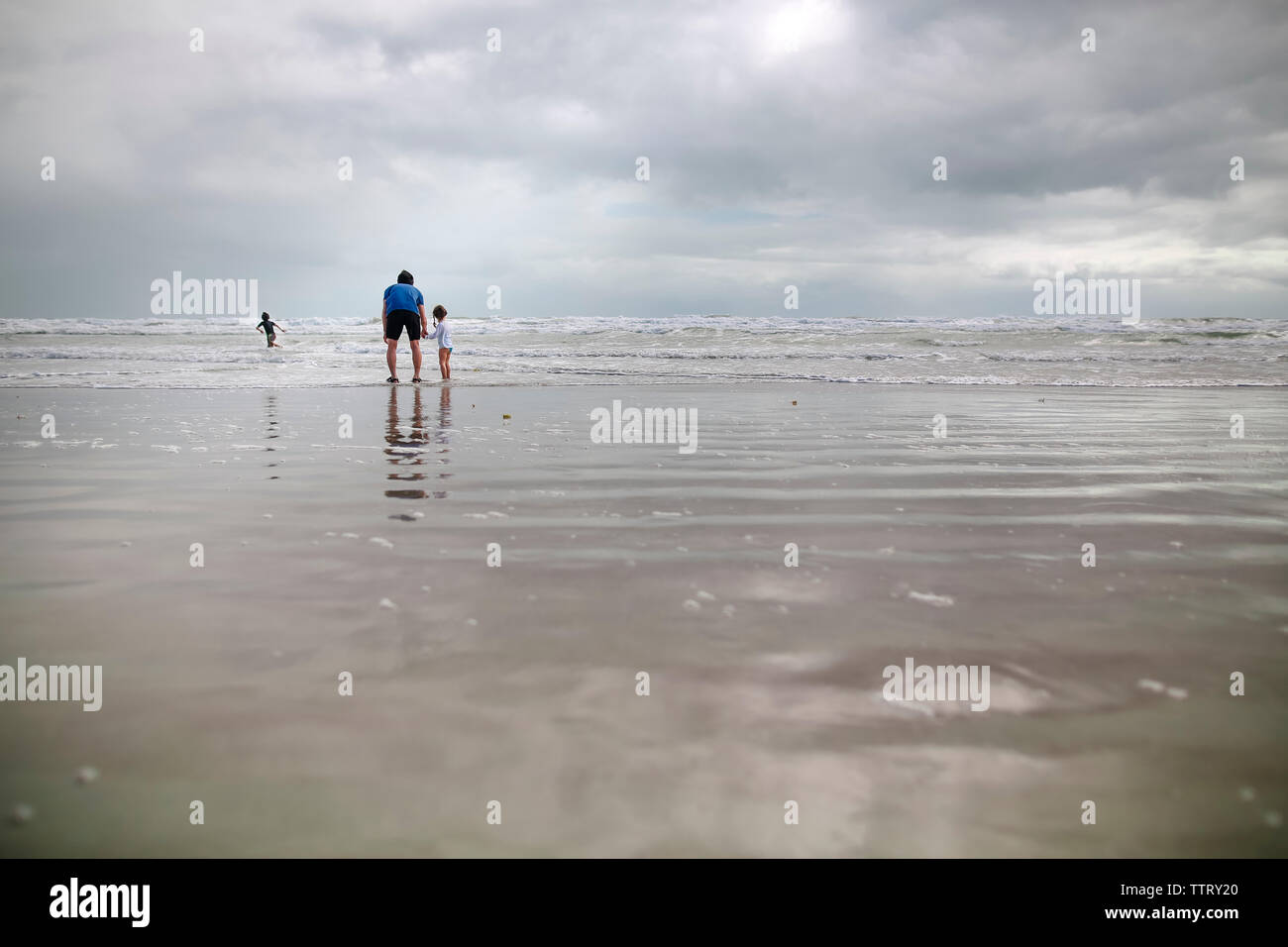 Mid distance view of family enjoying at beach Stock Photo Alamy
