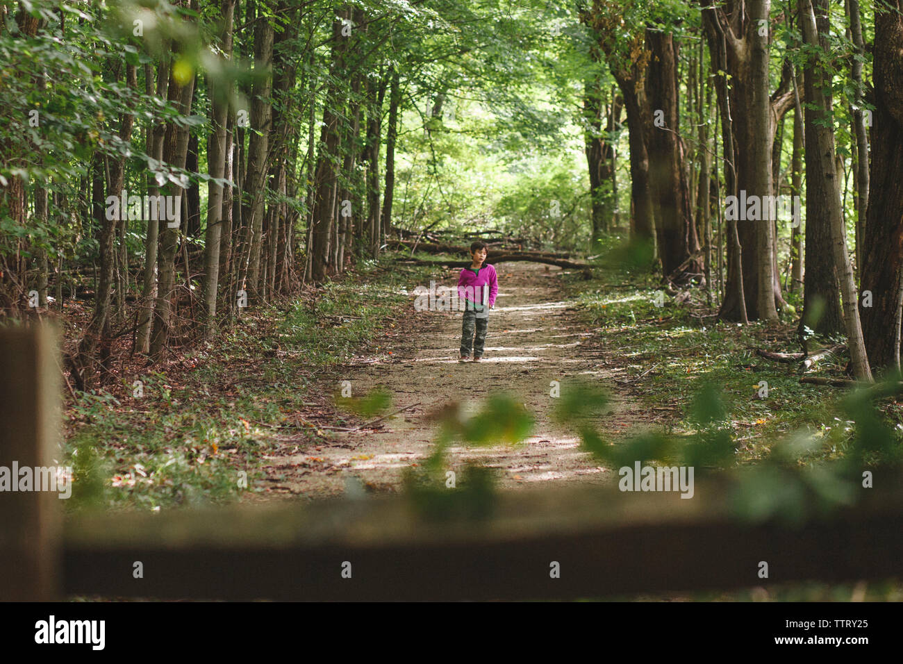 Full length of boy with book walking on walkway amidst trees in forest ...
