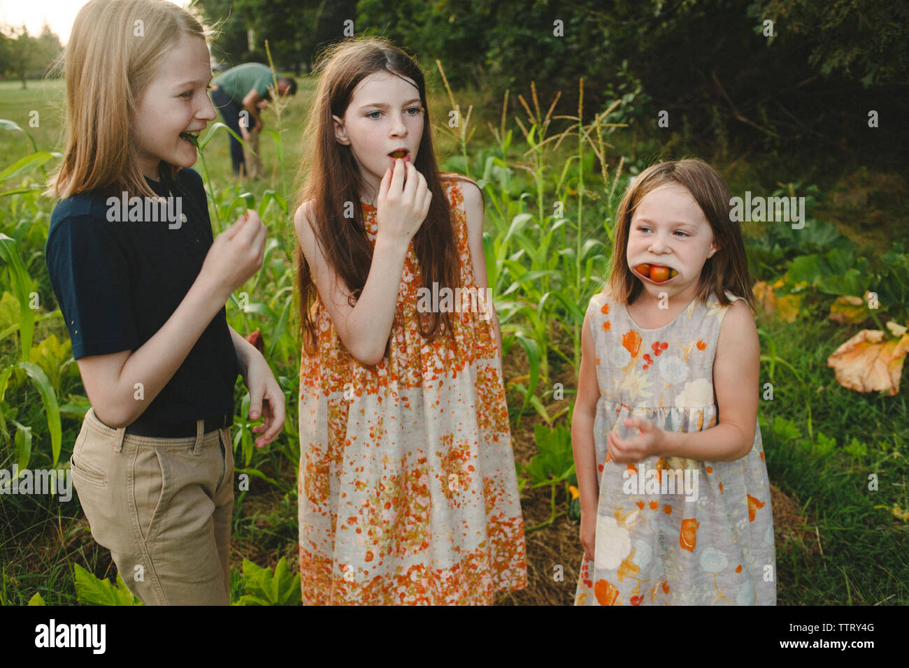 Siblings eating tomatoes while standing on field at farm Stock Photo