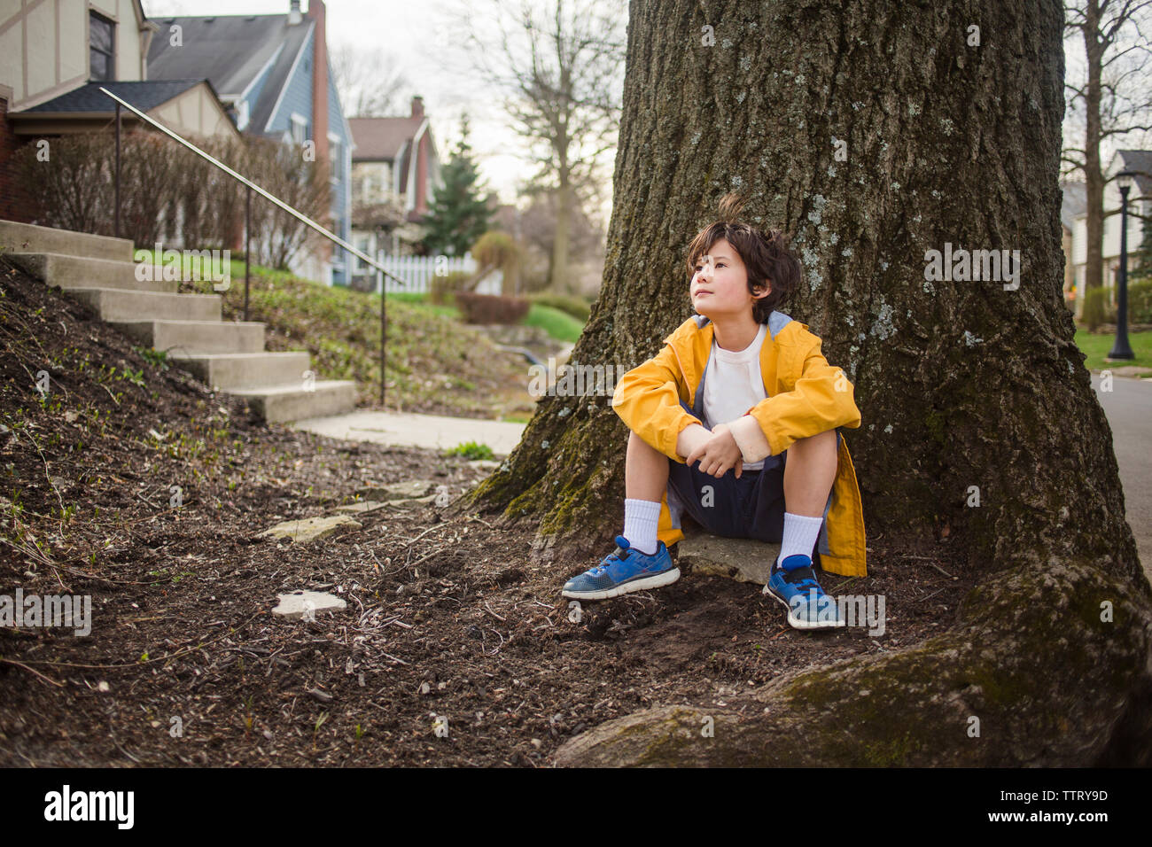 Thoughtful boy looking away while sitting by tree trunk Stock Photo