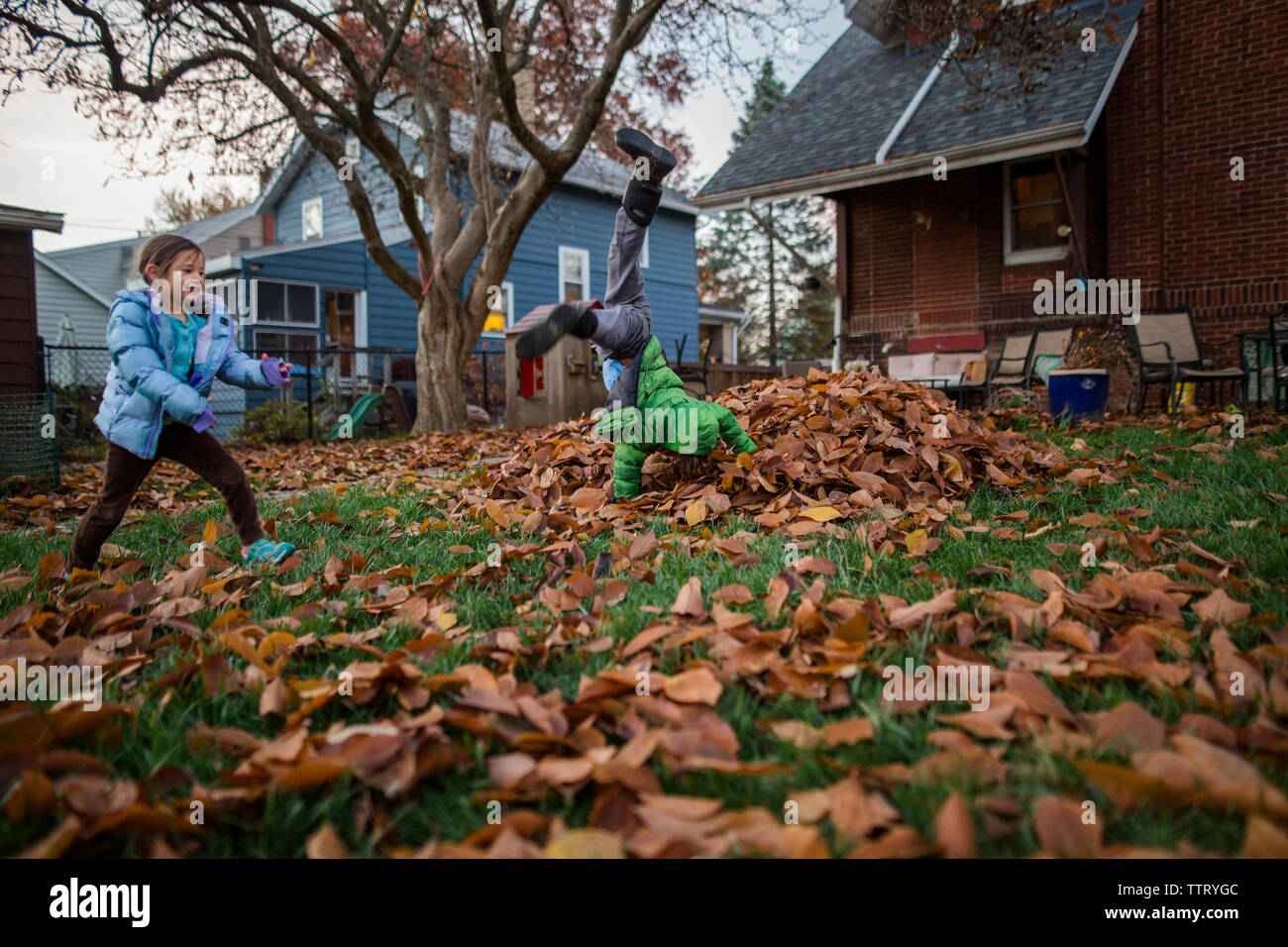A boy cartwheels into a leaf pile while his happy sister runs around Stock Photo