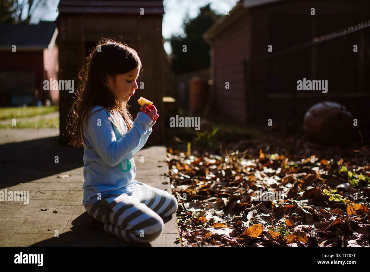 A little girl sits in her yard in golden light eating an apple slice Stock Photo
