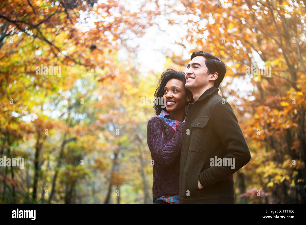 Couple looking away while standing in forest Stock Photo
