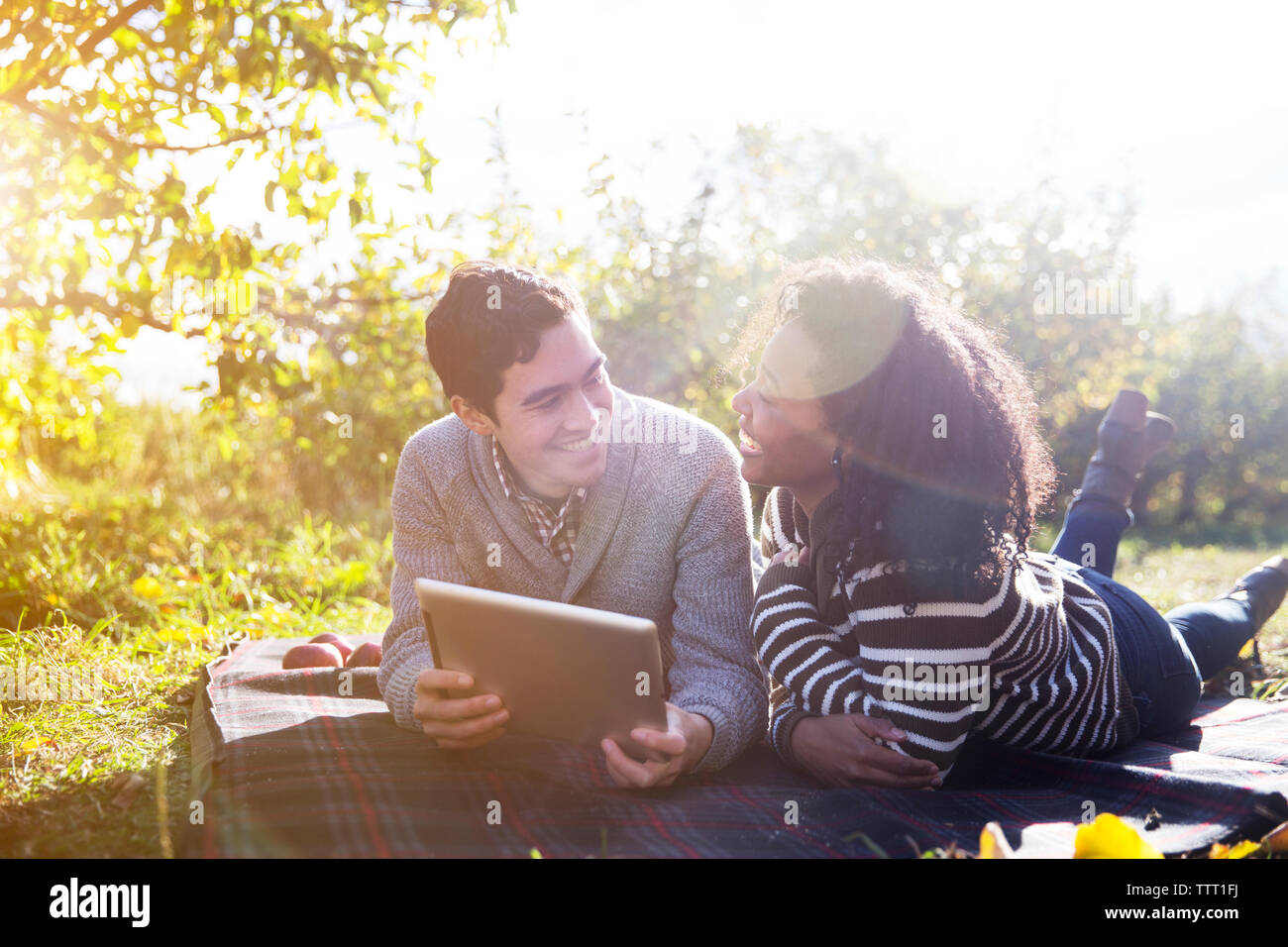Cheerful couple using tablet computer while relaxing on blanket in orchard Stock Photo