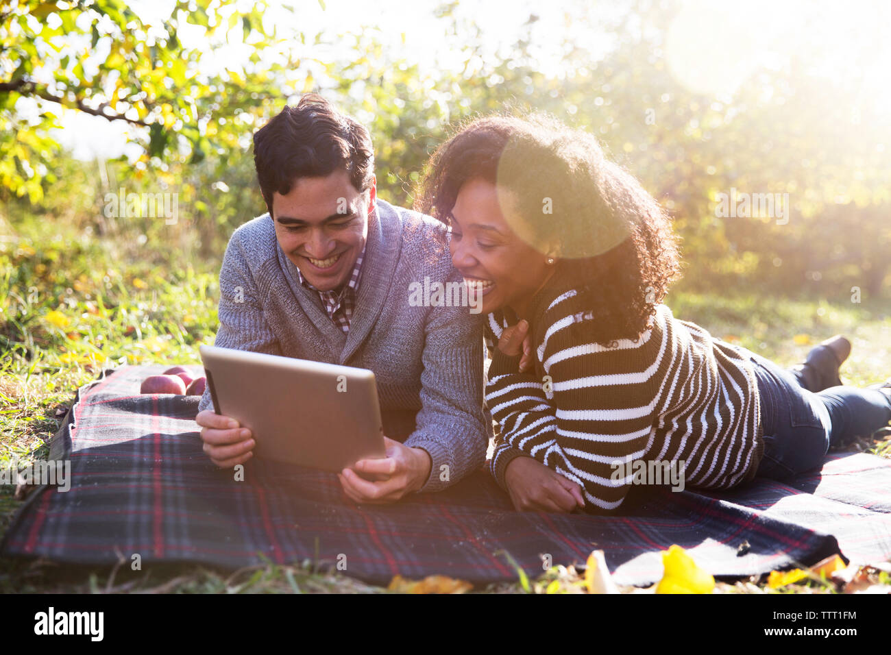 Couple using tablet computer while relaxing on blanket in orchard Stock Photo