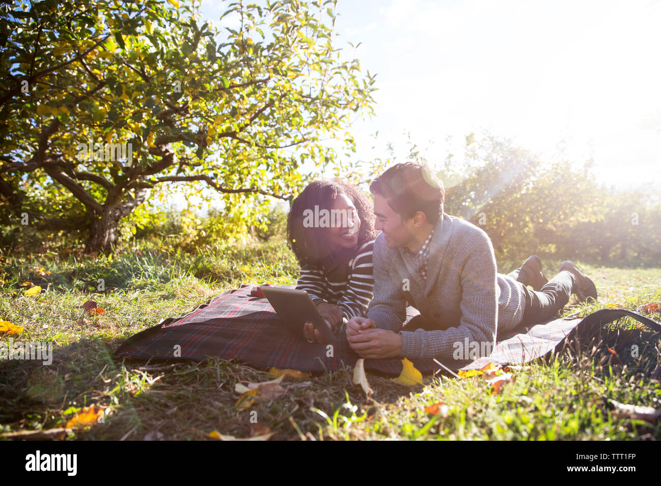 Loving couple looking at each other while using tablet computer in orchard Stock Photo