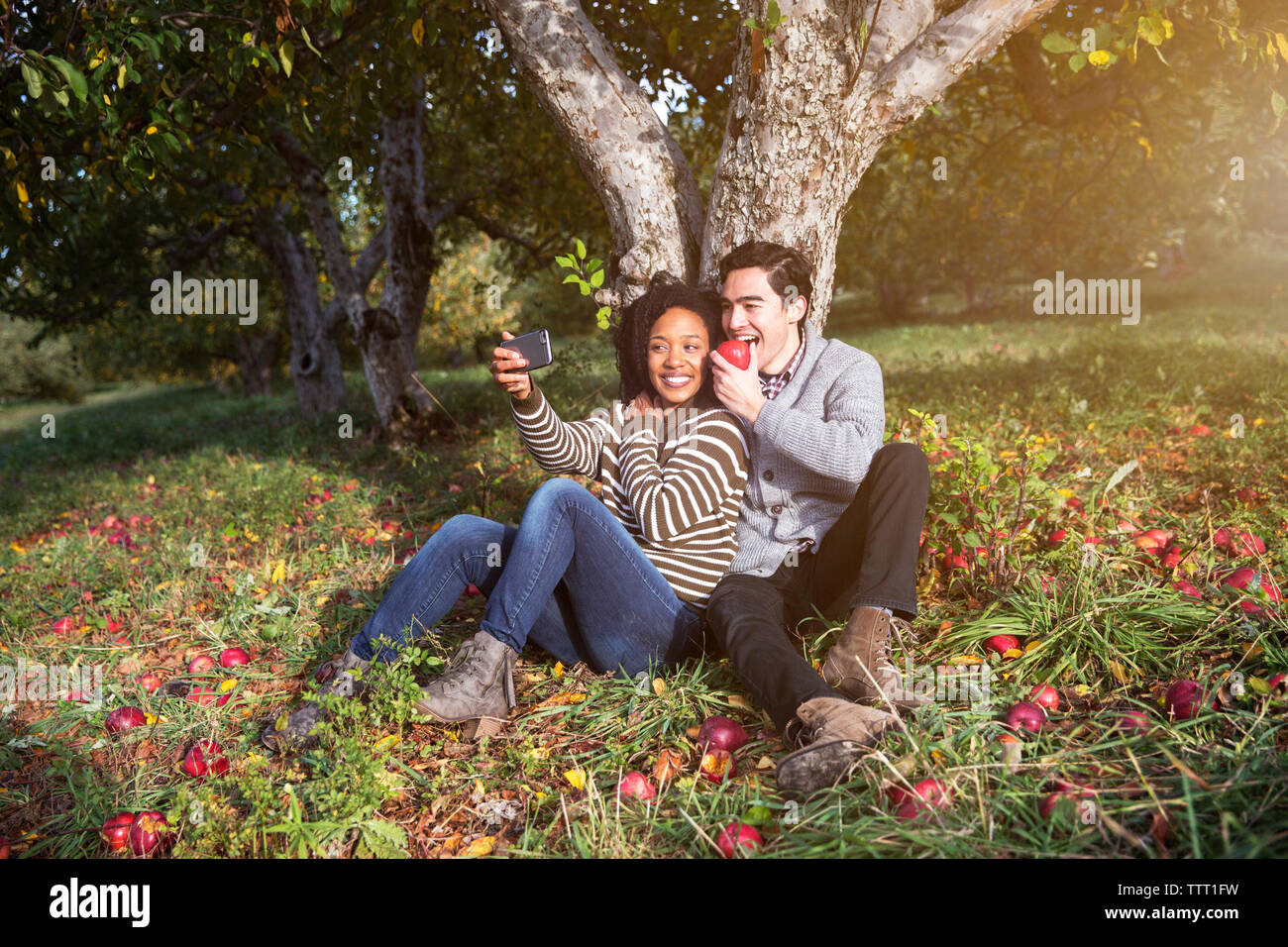 Couple taking selfie while sitting against tree in orchard Stock Photo