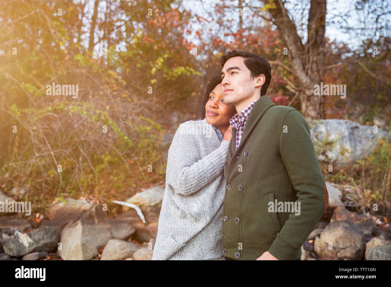 Couple looking away while standing in forest Stock Photo