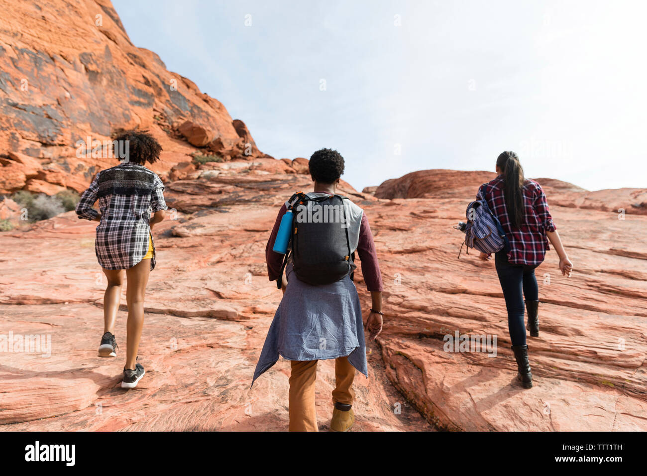 Rear view group friends hiking hi-res stock photography and images - Alamy