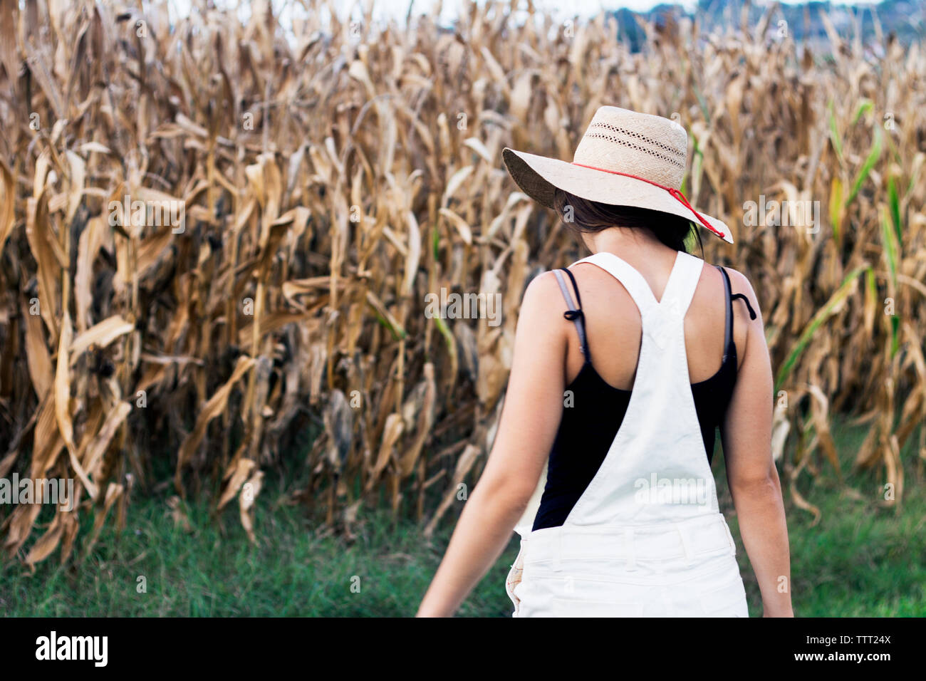 Rear view of woman standing on field on sunny day Stock Photo