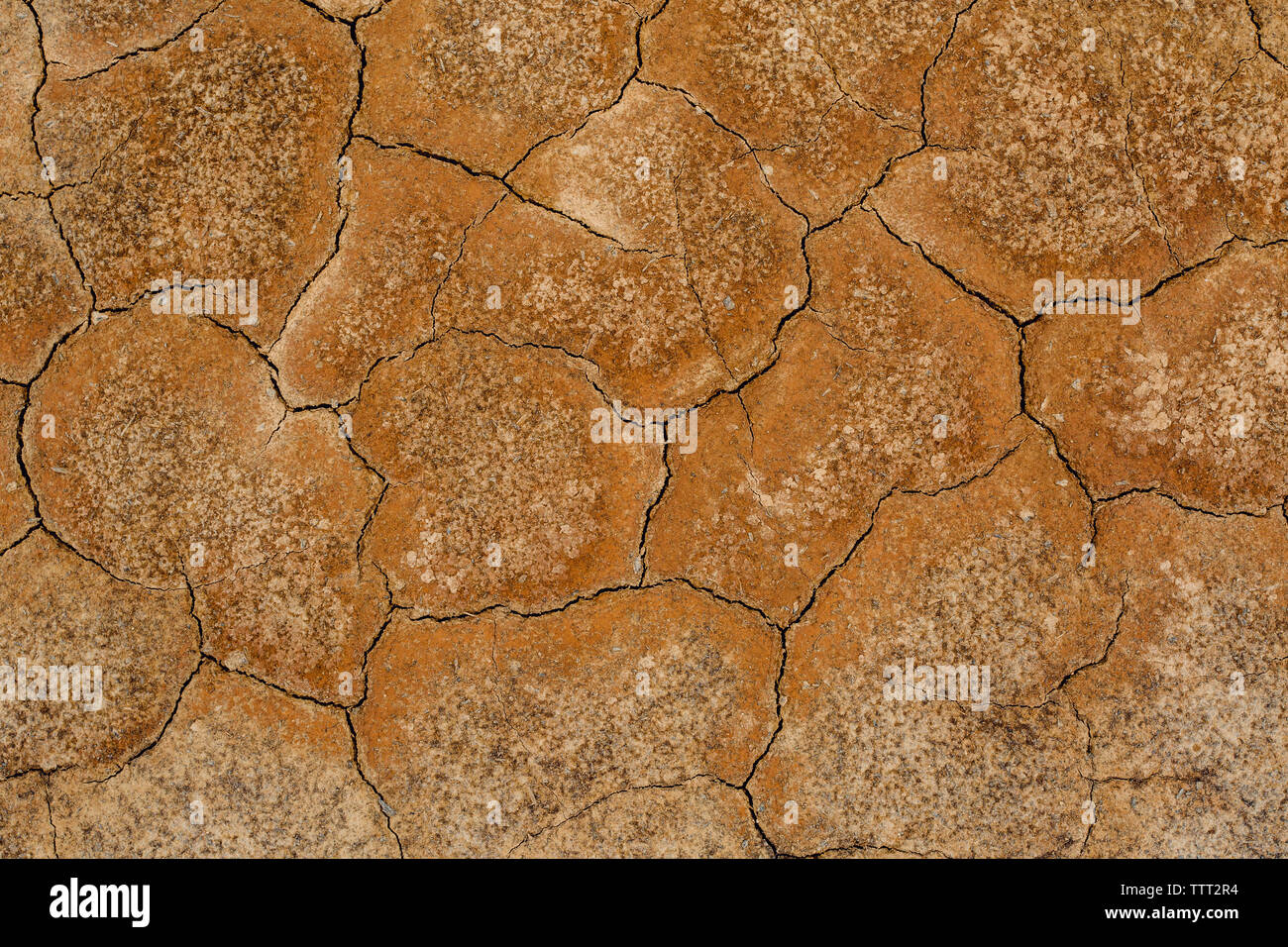 Overhead view of cracked land Stock Photo - Alamy