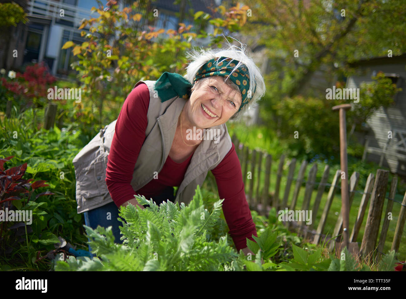 Portrait of cheerful senior woman gardening at backyard Stock Photo - Alamy