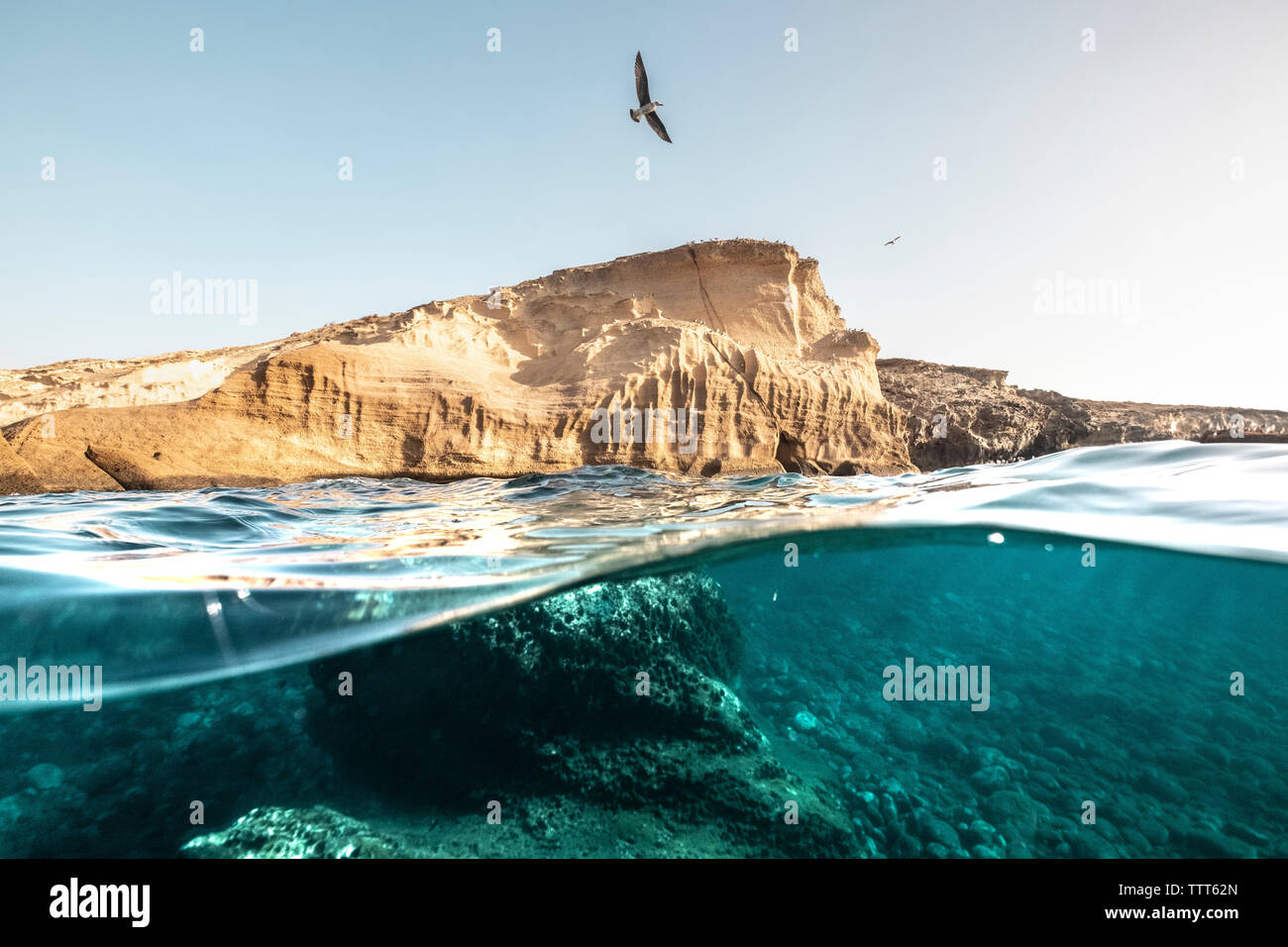 Over/under of a yellow bluff and the reef underwater in Tenerife Stock