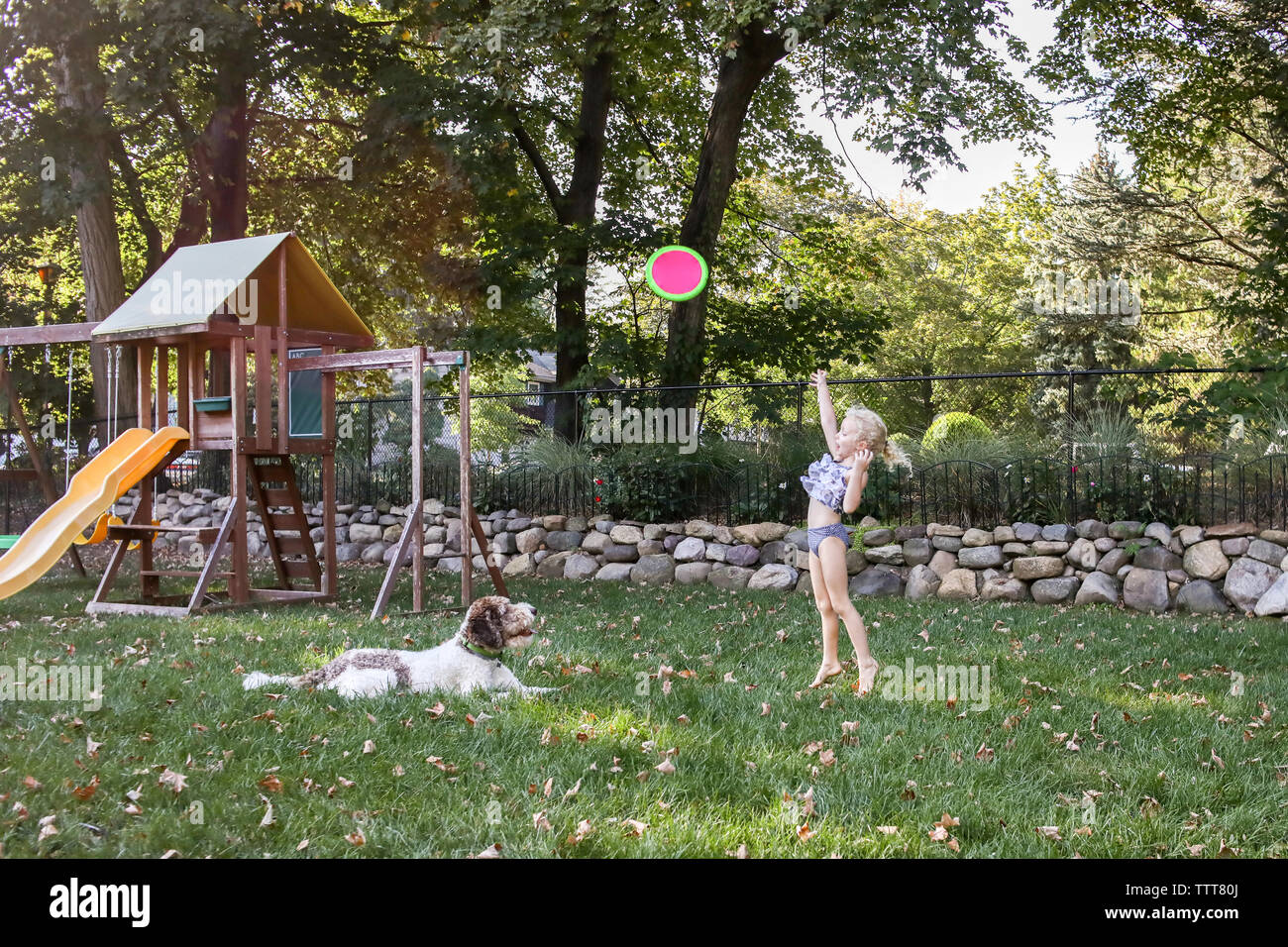 Playful girl throwing frisbee with dog at playground Stock Photo