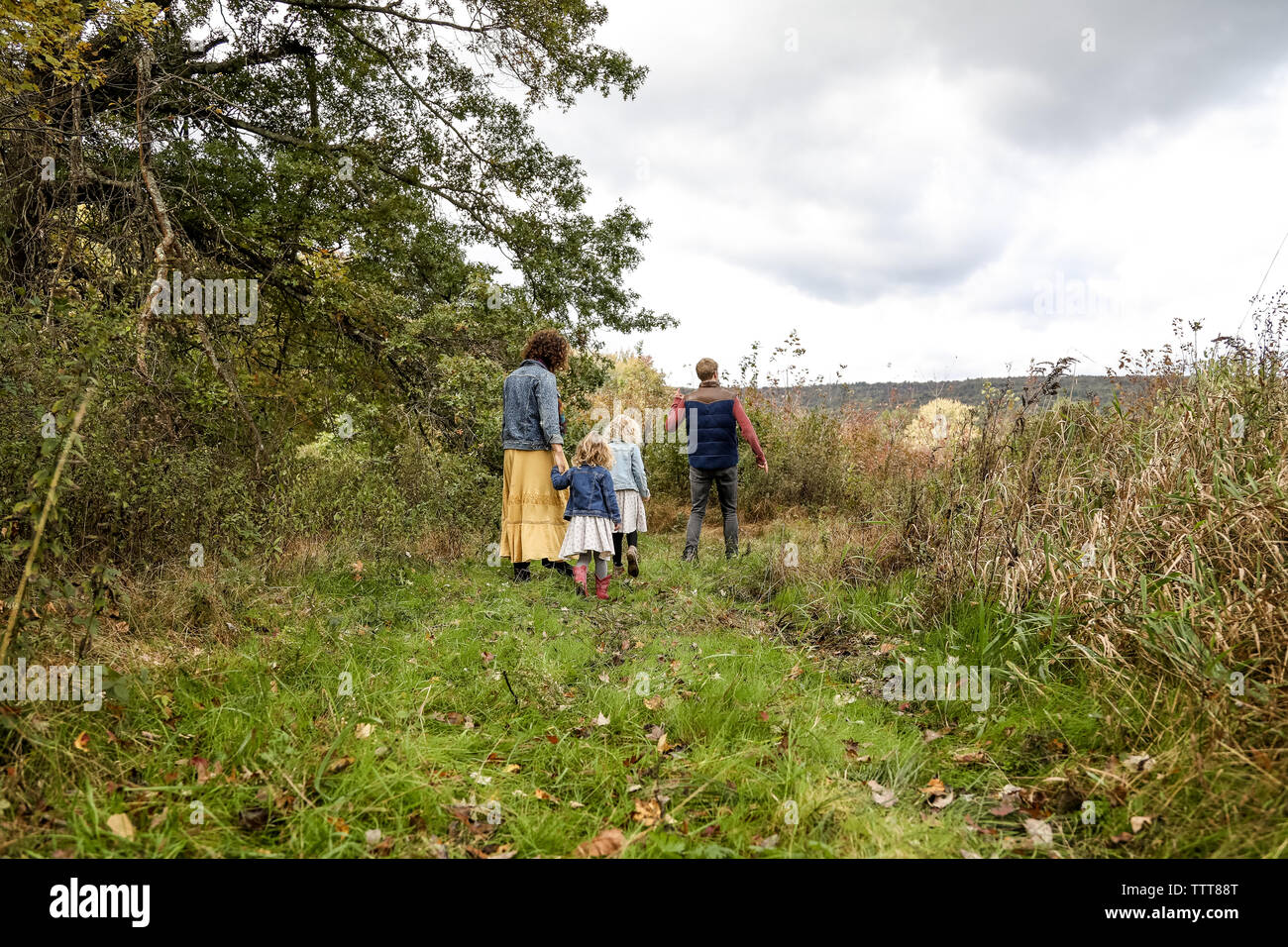 family of four walking in field at a distance during fall Stock Photo
