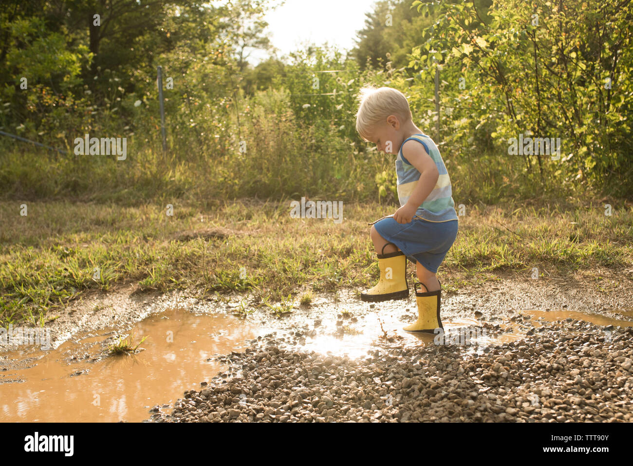 Side view of playful boy stamping foot in puddle at forest Stock Photo