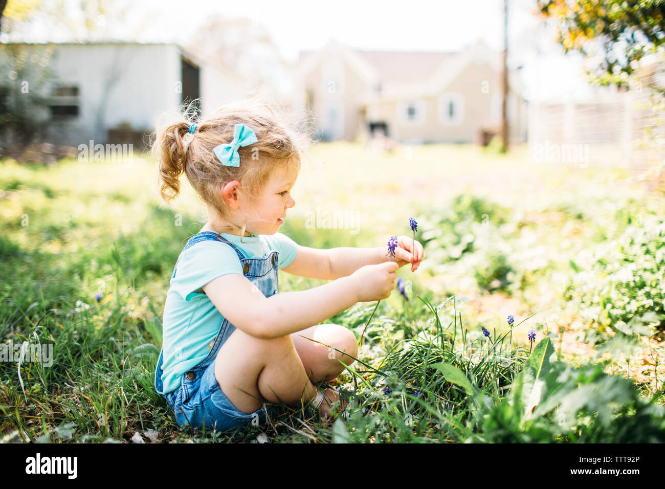 Girl playing with flowers while sitting on grassy field at backyard Stock Photo