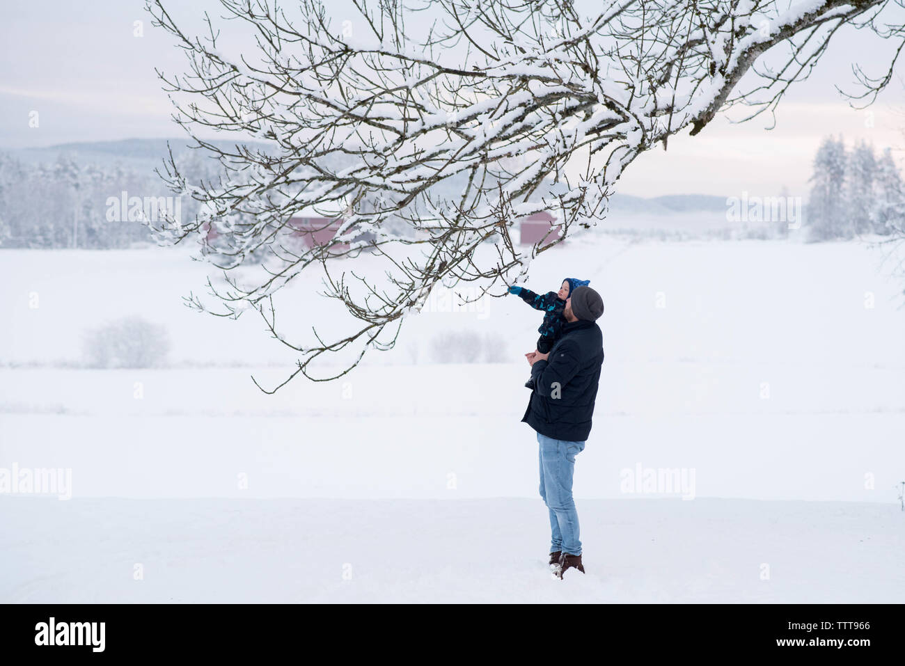 Father son winter wonderland touching snow Stock Photo