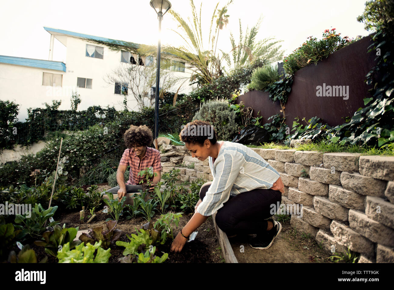 Hispanic male gardening hi-res stock photography and images - Alamy
