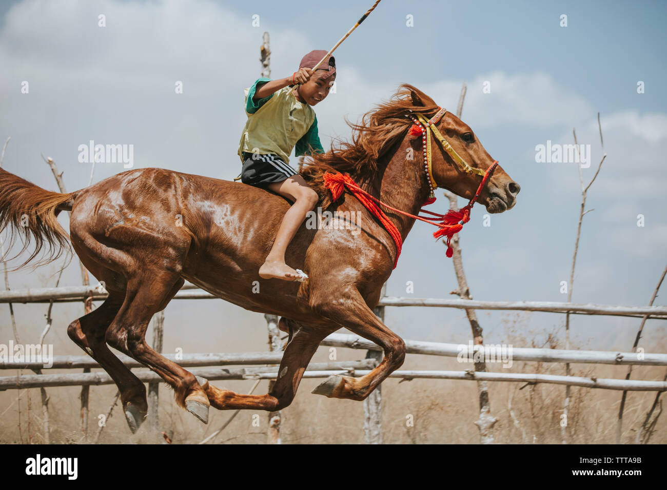 Side view horse racing hi-res stock photography and images - Alamy