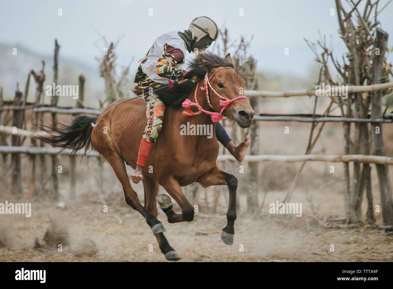 Jockey riding racehorse during horse racing Stock Photo