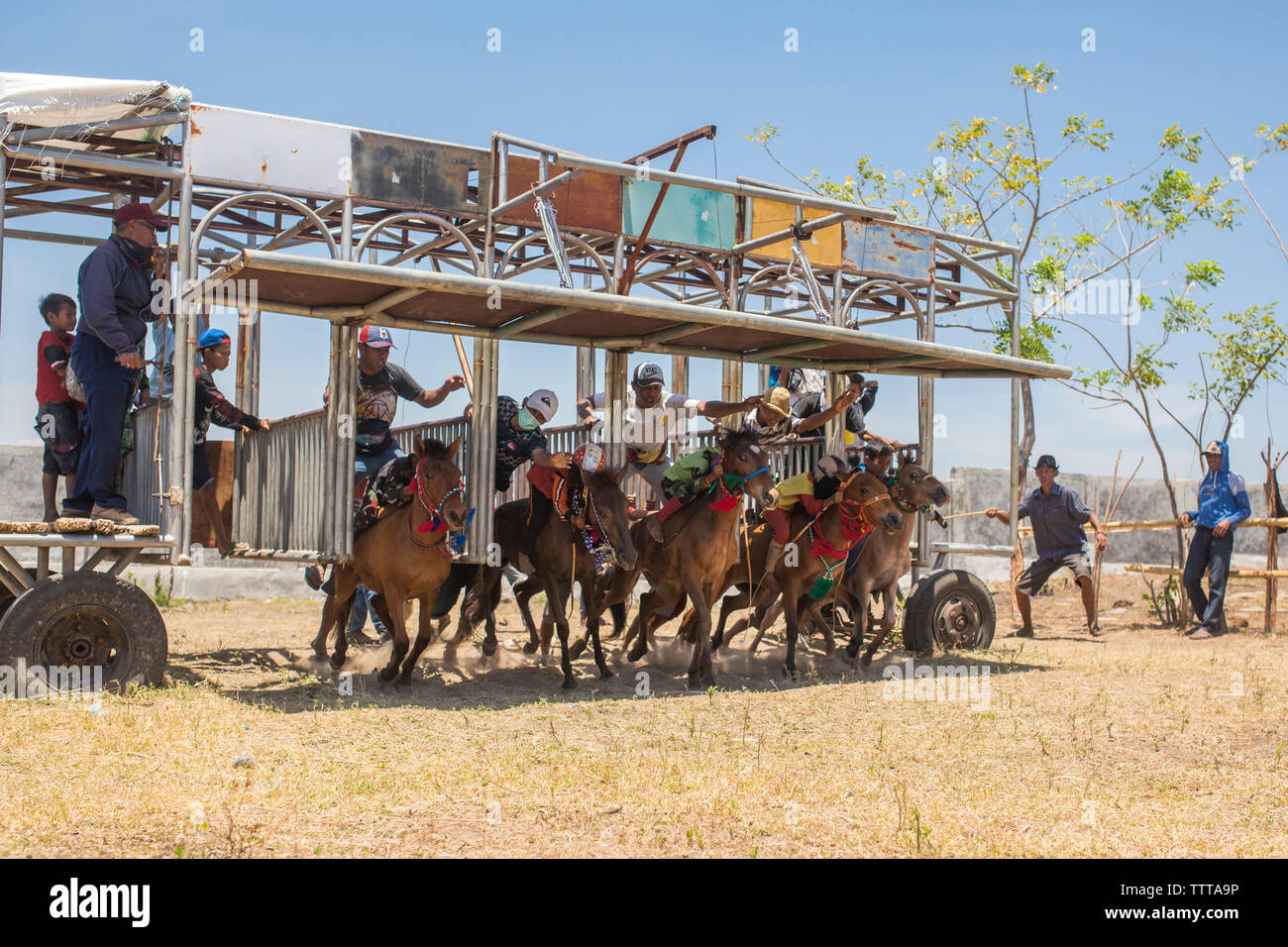 Jockeys on racehorses at starting gate during horse racing Stock Photo