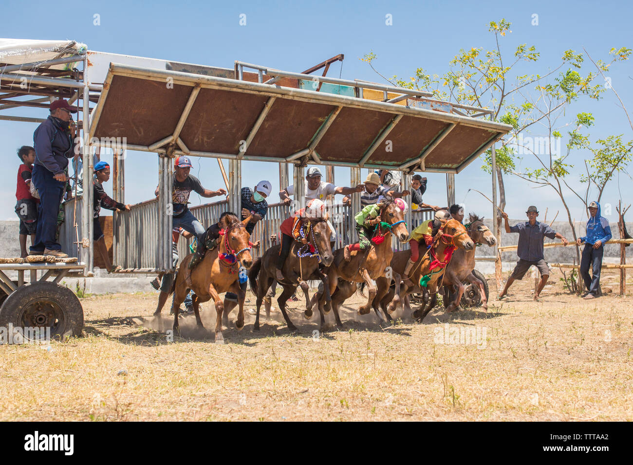 Jockeys sitting on racehorses at starting gate during horse racing Stock Photo