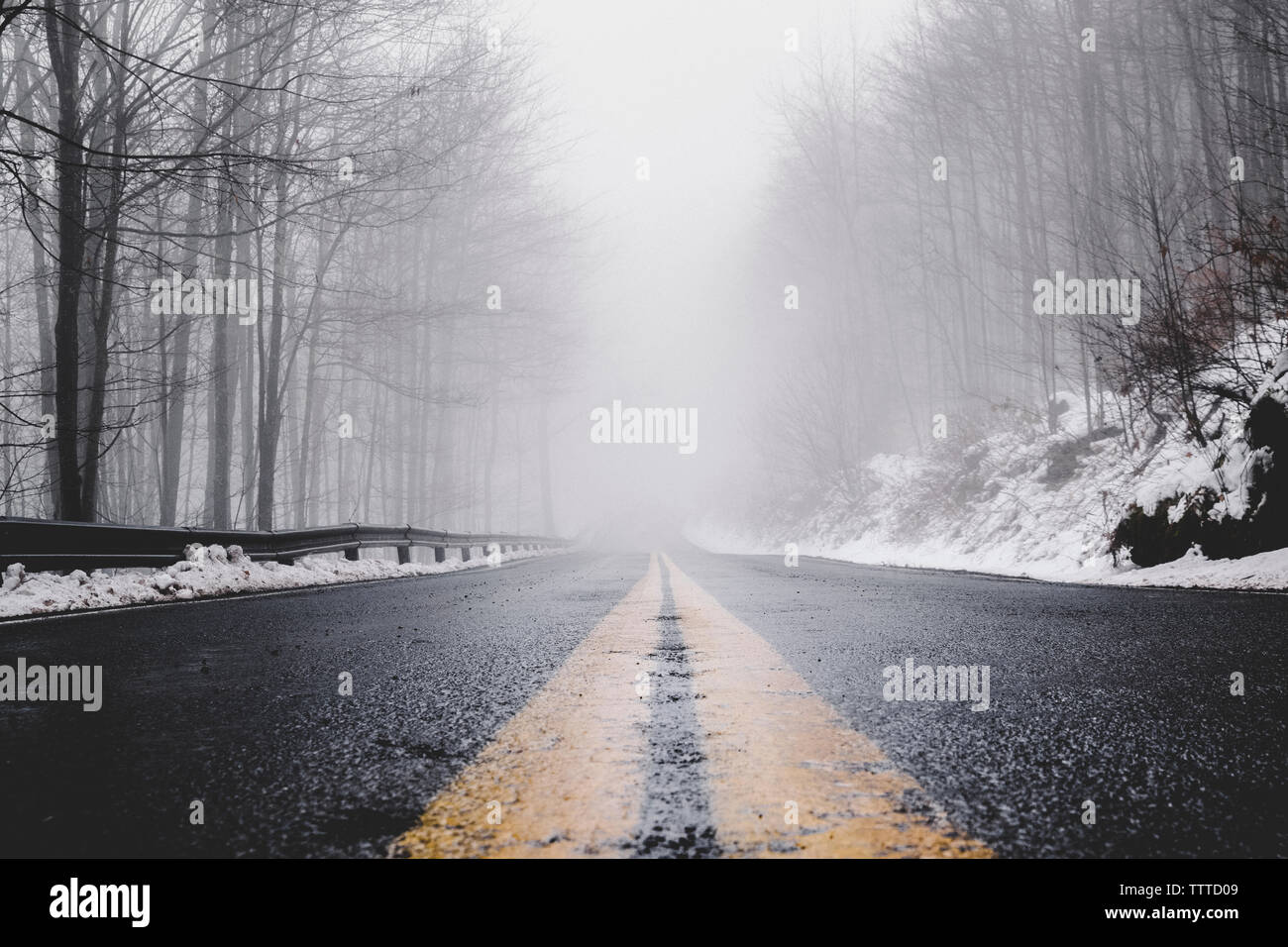 Empty wet country road amidst bare trees during foggy weather Stock Photo
