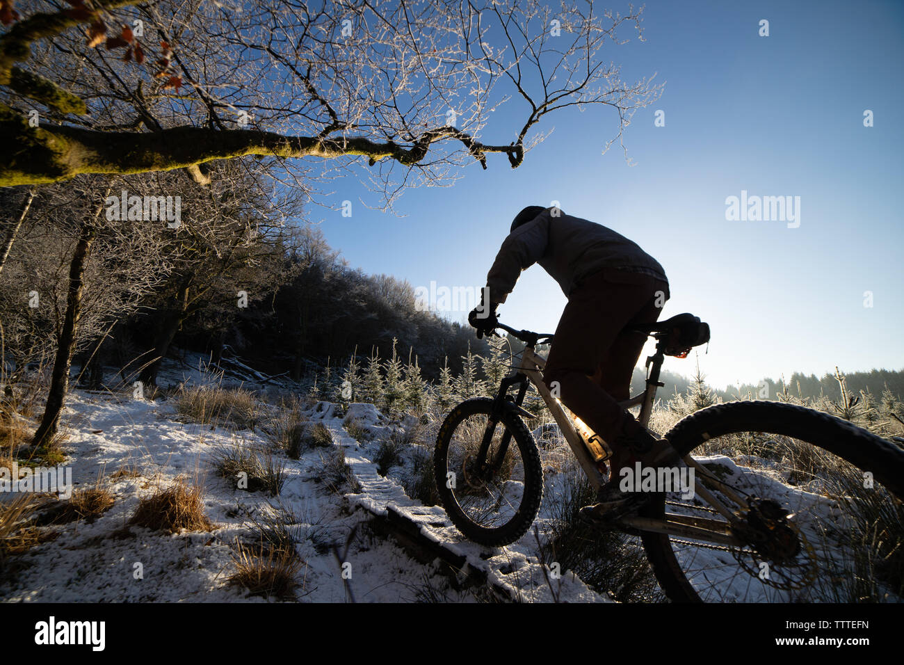Mountain biker riding across snowy bridge in forest Stock Photo