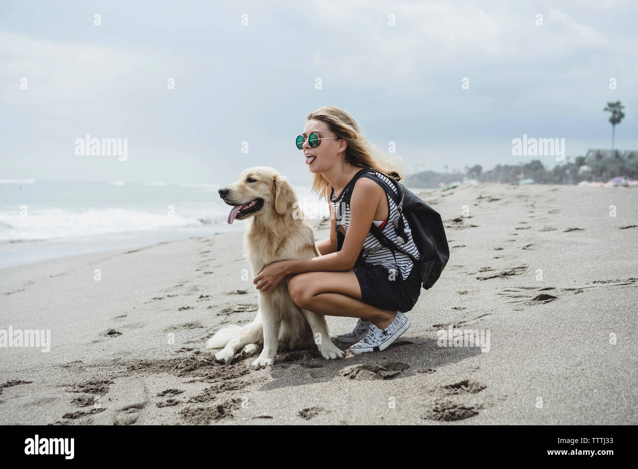 Full length of woman and Labrador Retriever sticking out tongues on shore at beach Stock Photo