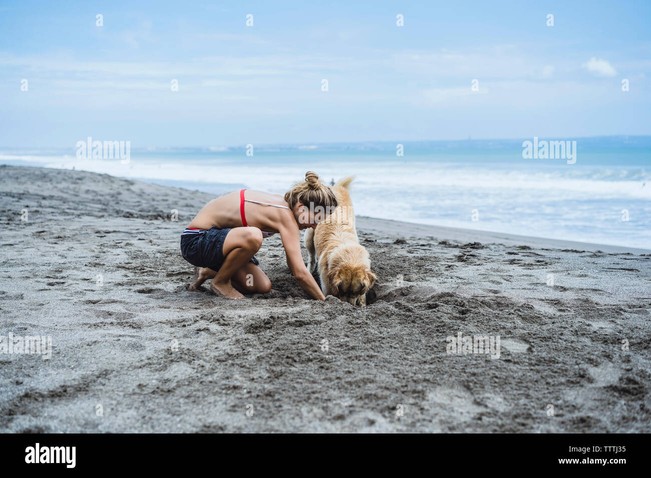 Full length of woman and Labrador Retriever digging on shore at beach Stock Photo