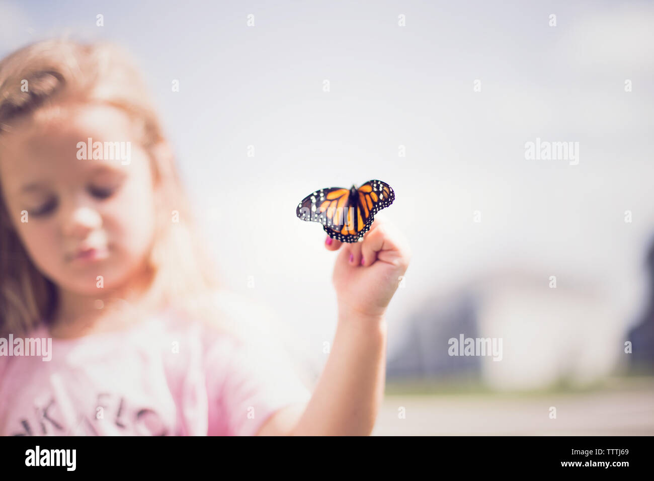 Butterfly taking flight from young conservationist. Stock Photo
