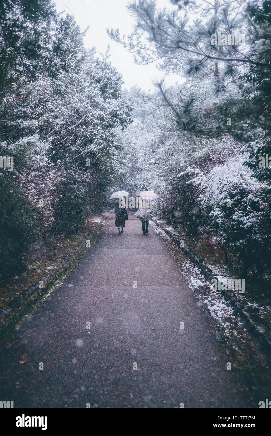 Rear view of women holding umbrella while walking on road by trees during snowfall Stock Photo