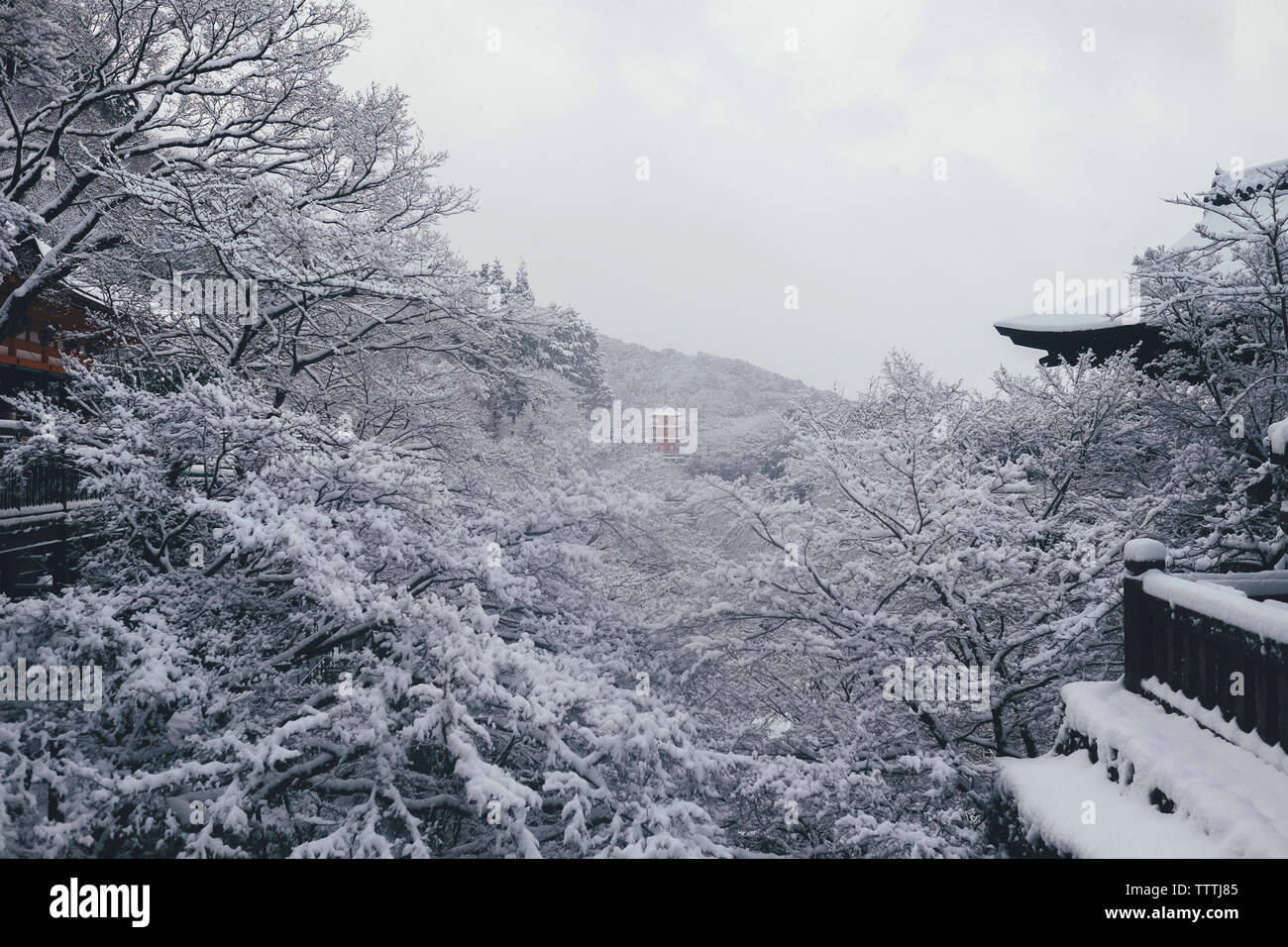 High angle view of pagoda amidst trees against clear sky Stock Photo