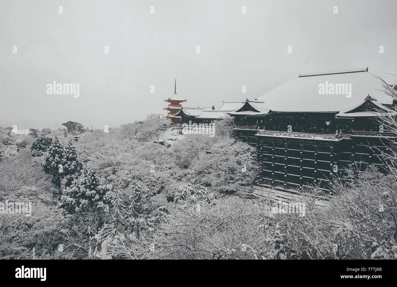 High angle view of pagoda amidst forest against clear sky Stock Photo