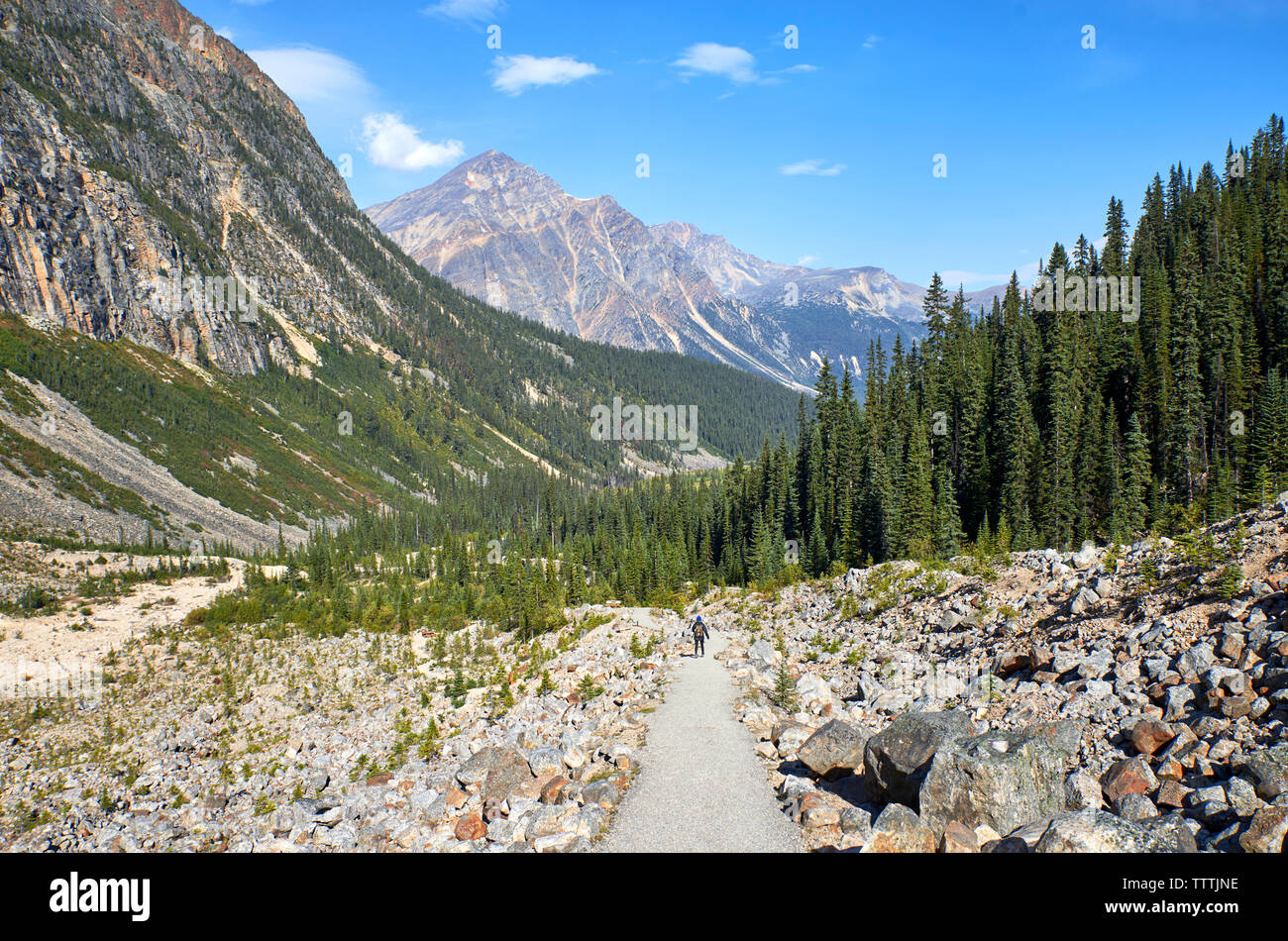 Canada, Alberta, Rocky Mountains, Canadian Rockies, Jasper National Pa Stock Photo