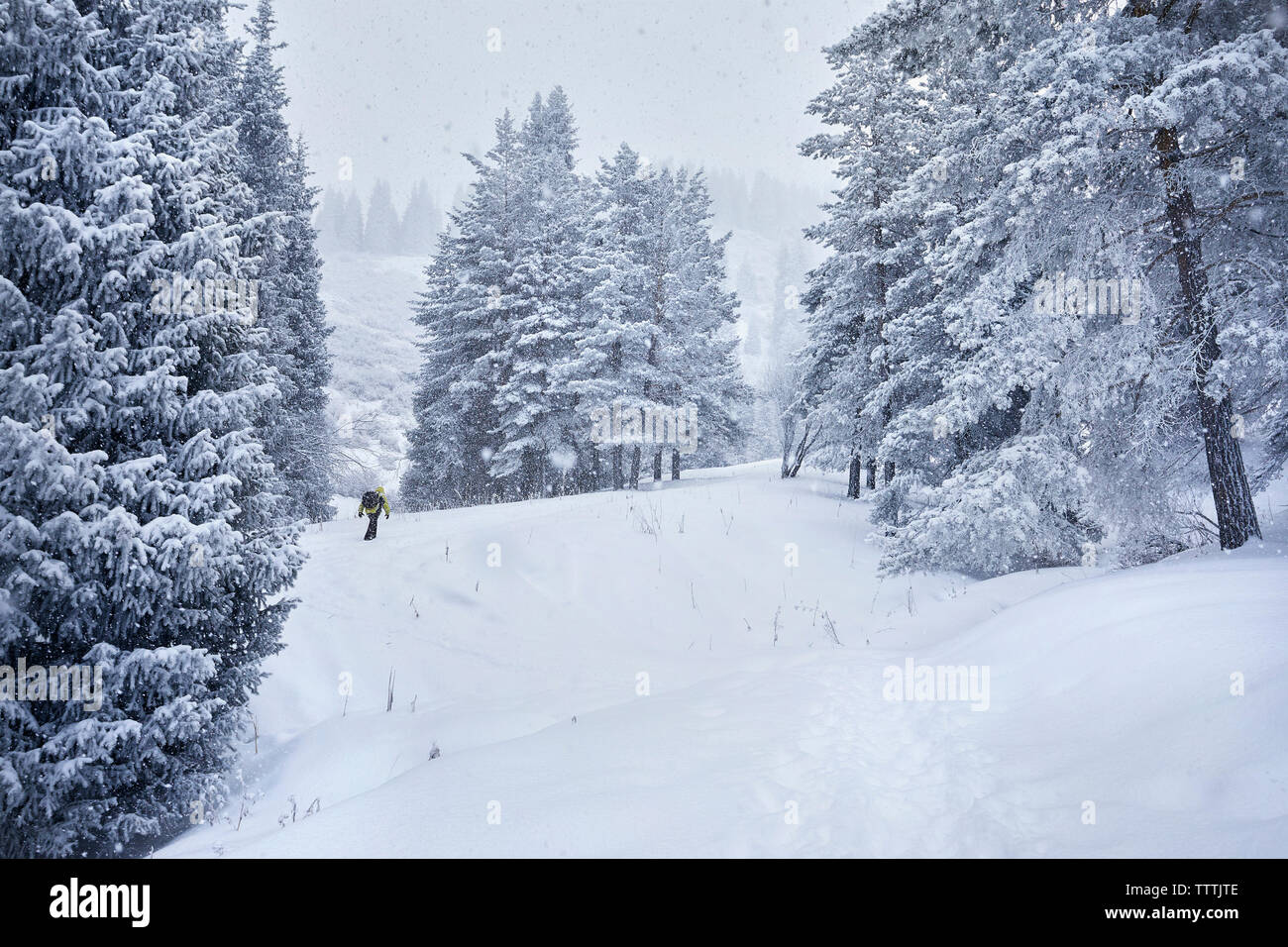 Walk In Deep Snow Person walking in deep snow hi-res stock photography and images - Alamy