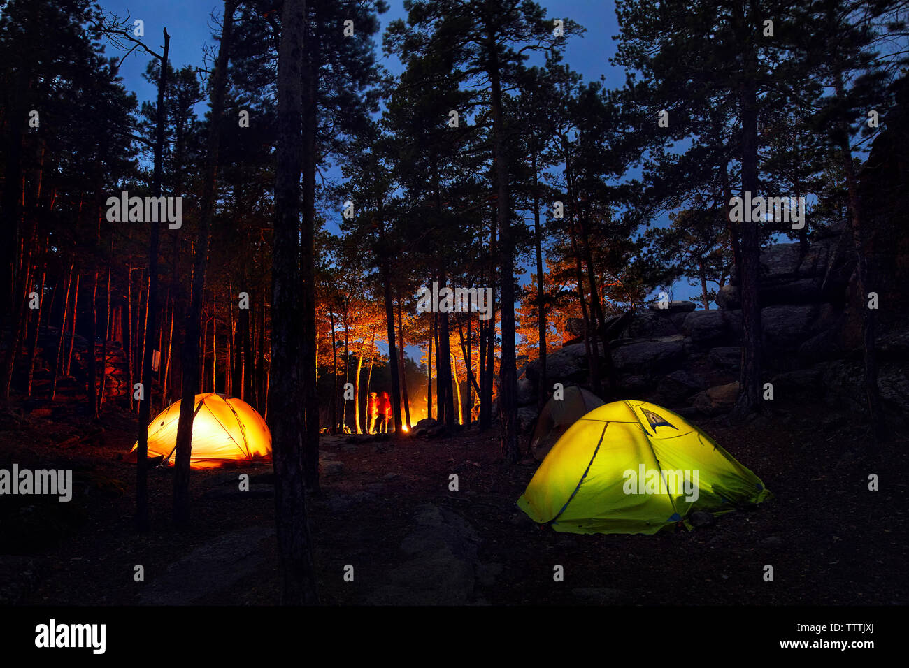 Illuminated tents on field in forest at night Stock Photo - Alamy