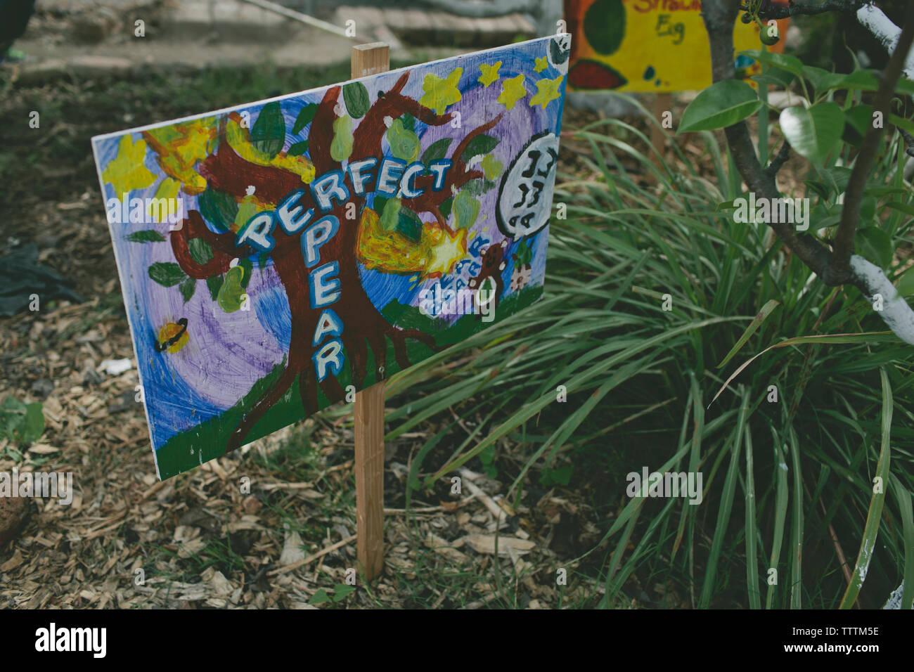 Painting plants hi-res stock photography and images - Alamy