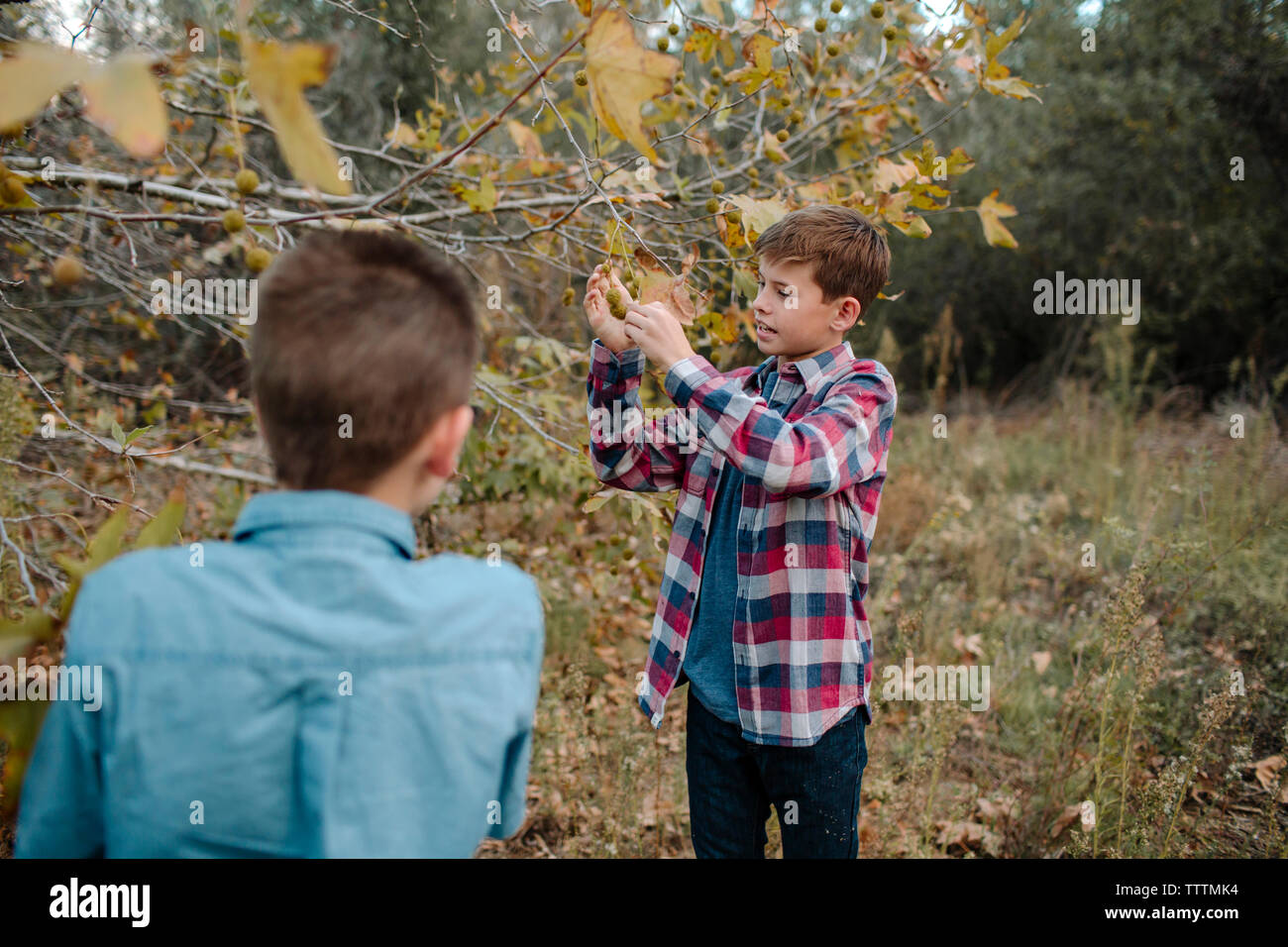 Boys standing together hi-res stock photography and images - Alamy