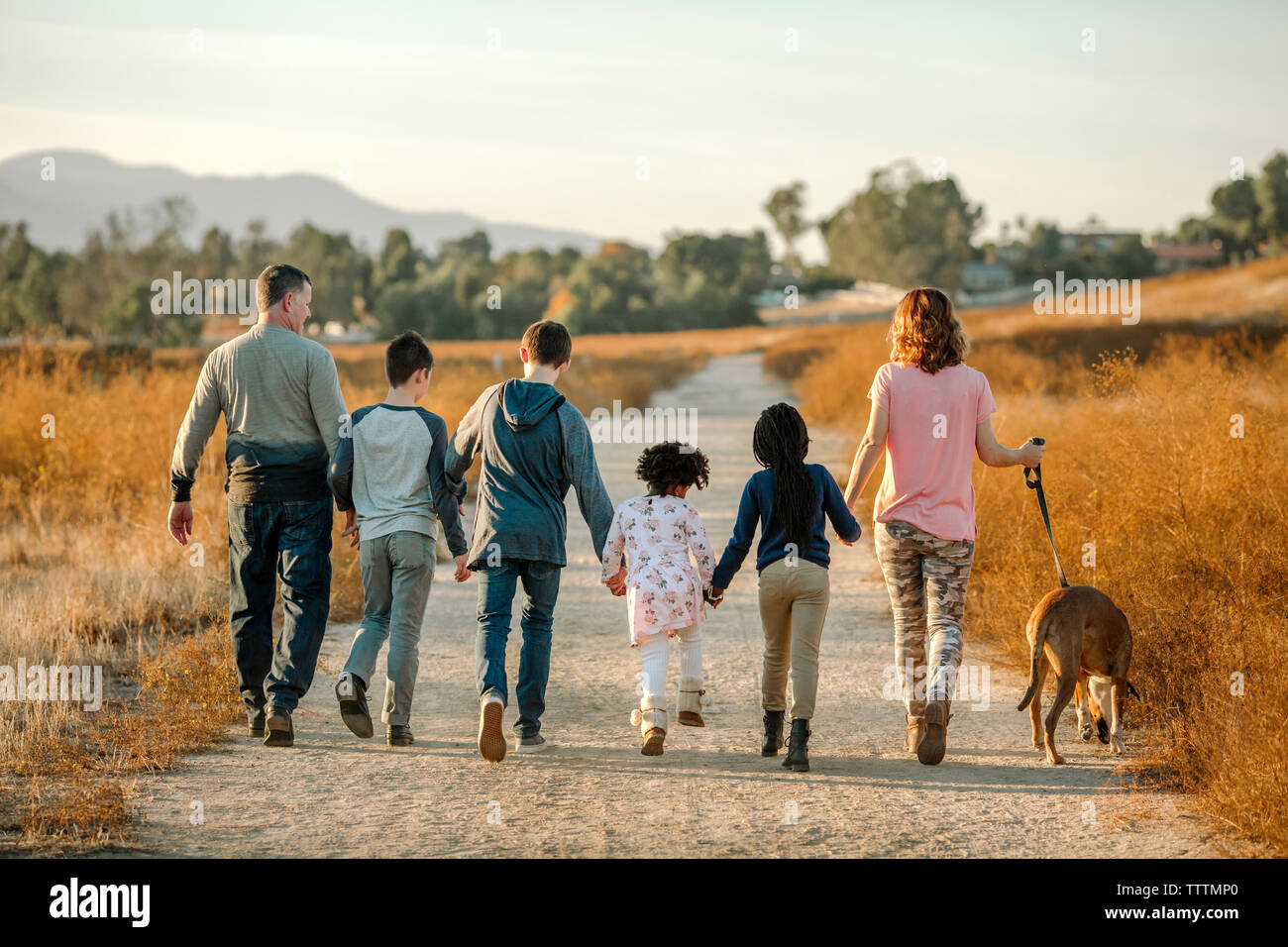 Rear view of family with dog walking on dirt road against sky at forest Stock Photo
