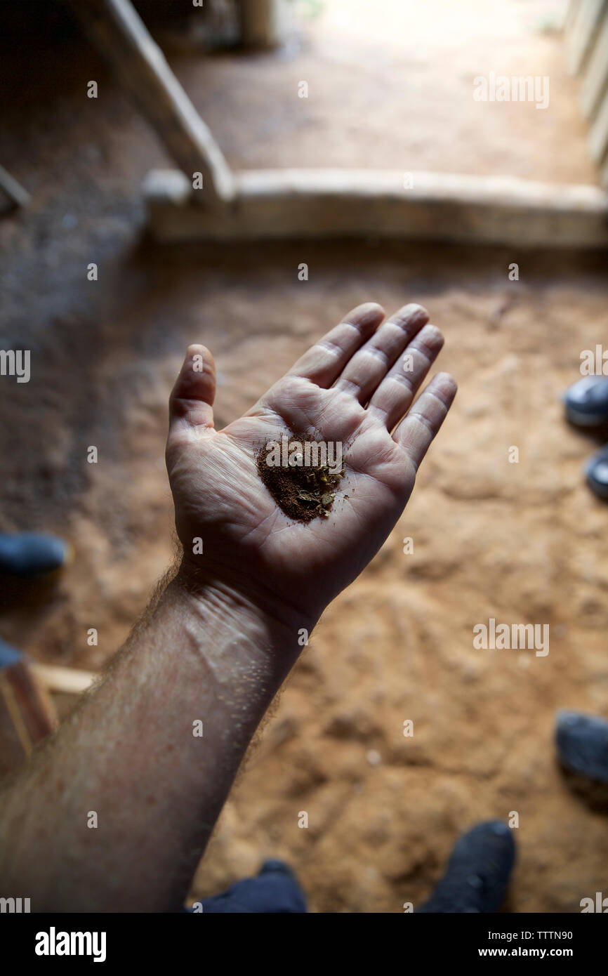 Cropped hand of man holding spices at workshop Stock Photo