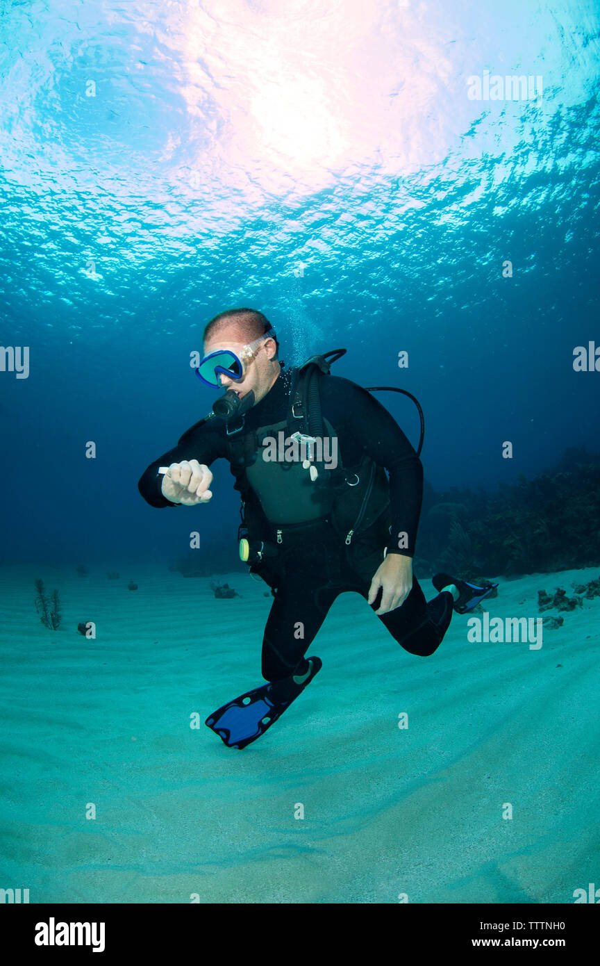 Scuba diver checking oxygen pressure in sea Stock Photo Alamy