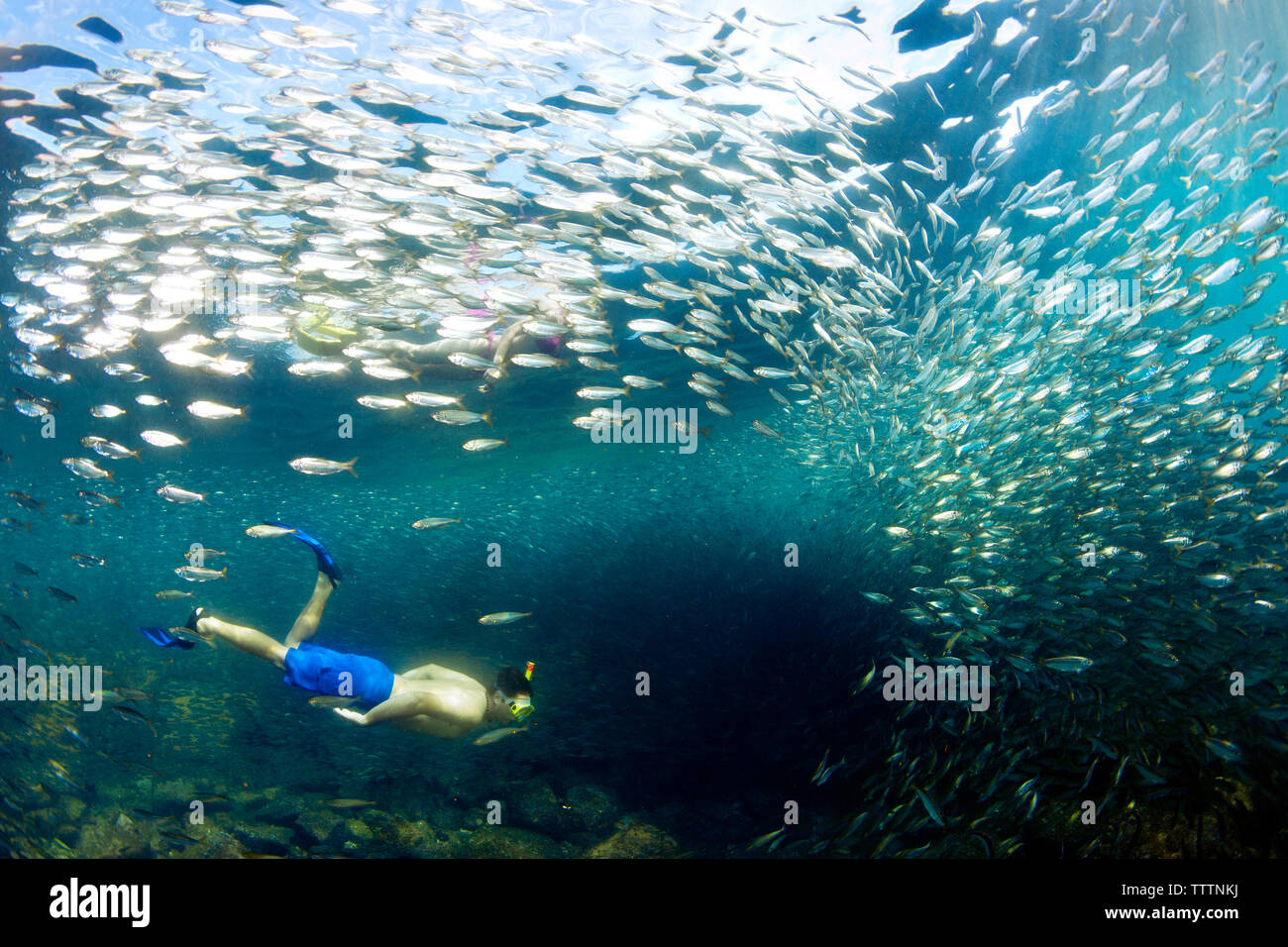 Couple swimming by fishes underwater Stock Photo