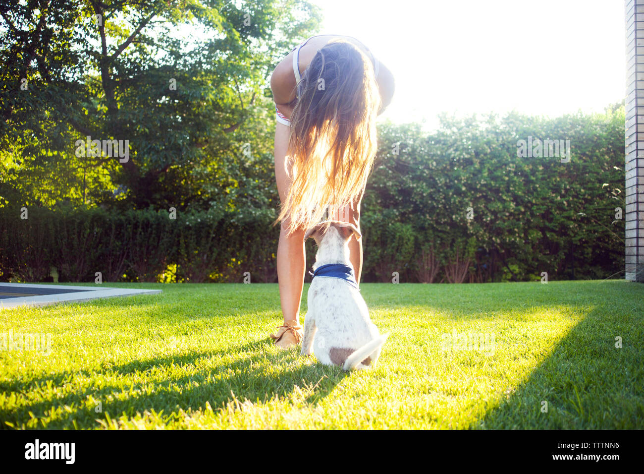 Woman bending over dog on grassy field at backyard Stock Photo Alamy