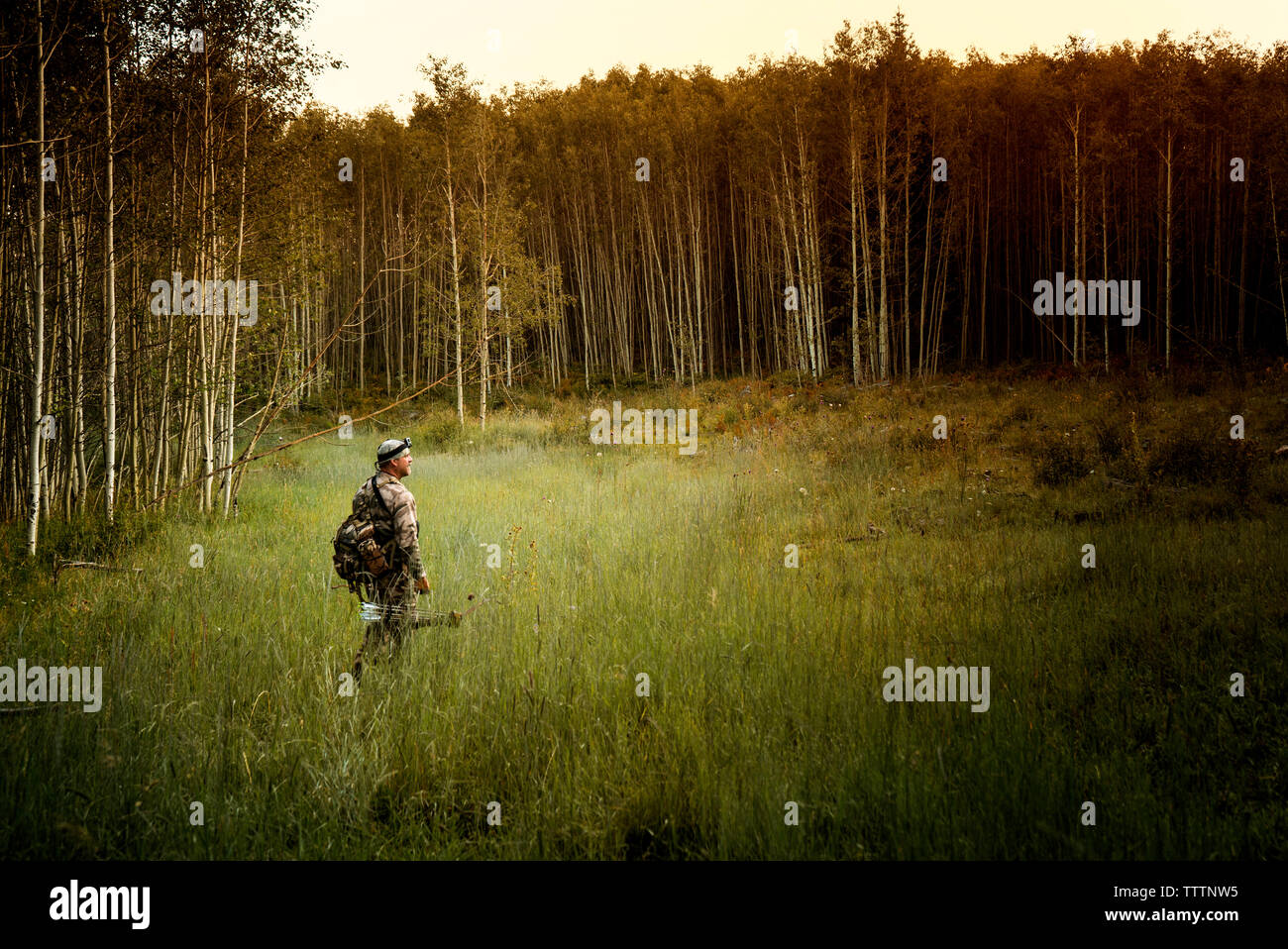 Hunter with bow and arrow hi-res stock photography and images - Alamy