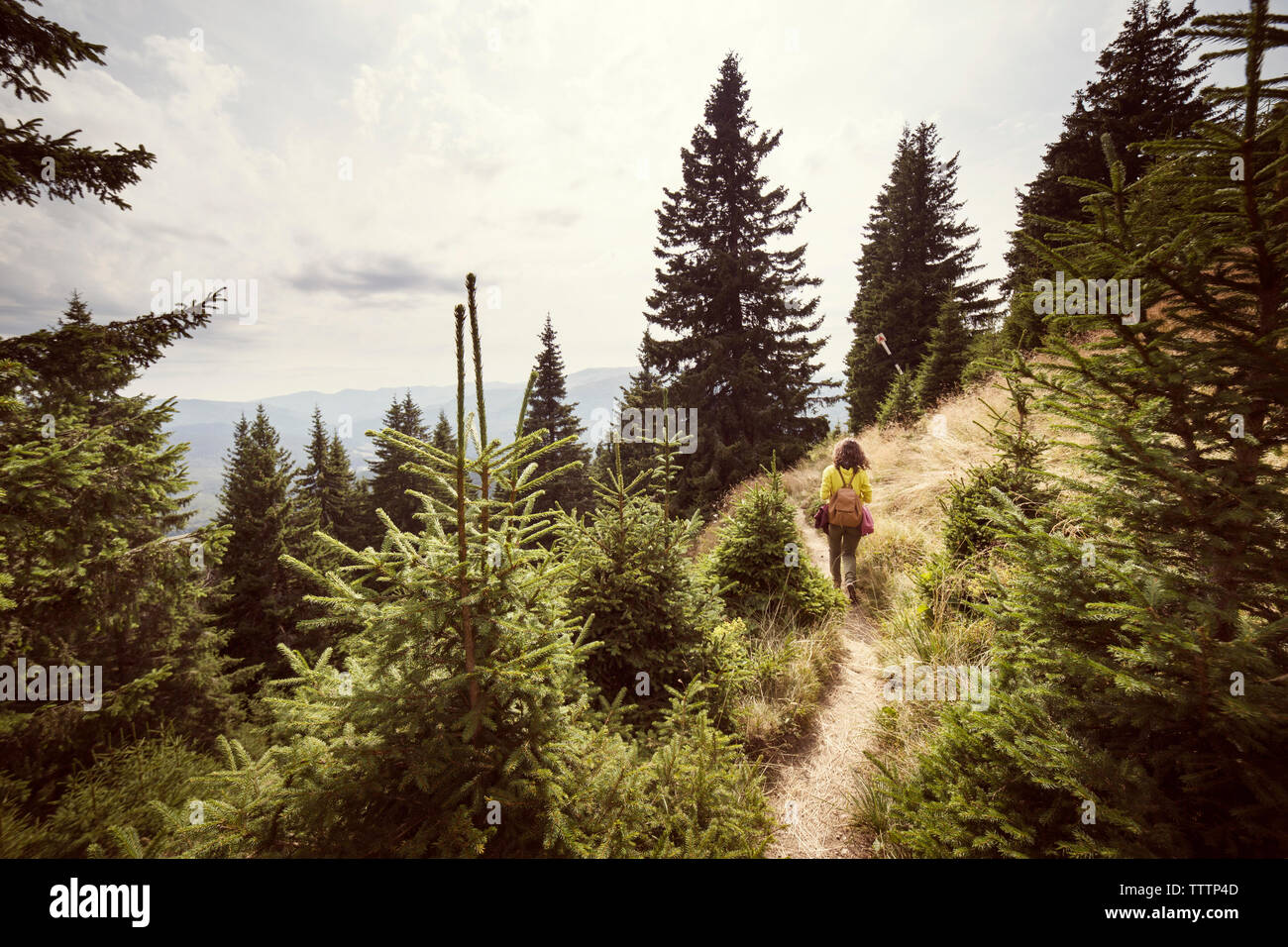 Old woman grass walking mountains hi-res stock photography and images ...